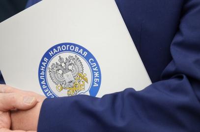 ФНС опубликовала статистику развития МСП в России