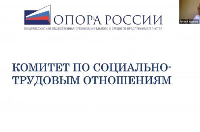 Комитет по социально-трудовым отношениям принял в свои ряды новых членов и обсудил планы работы