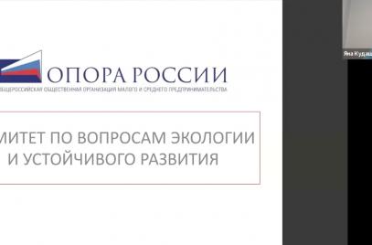 Комитет по вопросам экологии и устойчивого развития провел встречу с представителями «ОПОРЫ РОССИИ» из регионов
