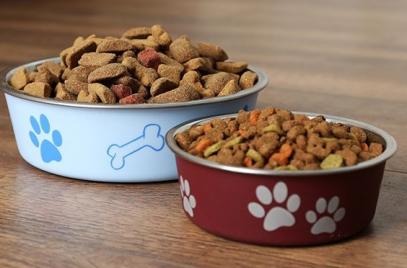 «ОПОРА РОССИИ» заступилась за предприятия зооиндустрии