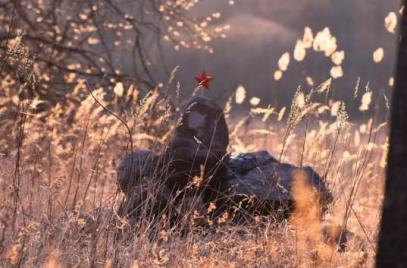 Представители Псковского регионального отделения «ОПОРЫ РОССИИ» создали интерактивную площадку на Линии «Пантера»