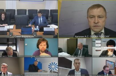 В Совете Федерации обсудили развитие института самозанятых